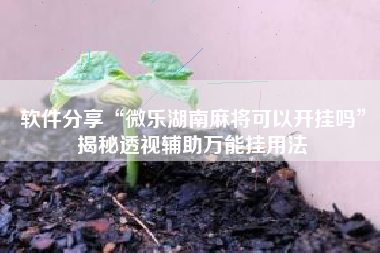 软件分享“微乐湖南麻将可以开挂吗	”揭秘透视辅助万能挂用法