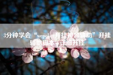 3分钟学会“wepoker开挂神器辅助”开挂辅助脚本+详细开挂