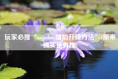 玩家必搜“wepoker辅助开挂方法”(原来确实是有挂)