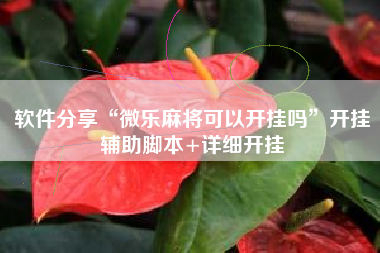 软件分享“微乐麻将可以开挂吗”开挂辅助脚本+详细开挂