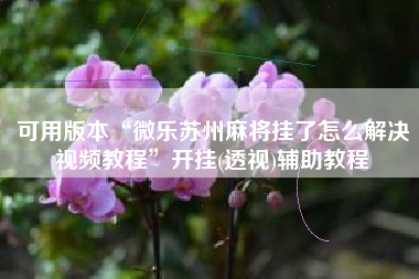 可用版本“微乐苏州麻将挂了怎么解决视频教程”开挂(透视)辅助教程