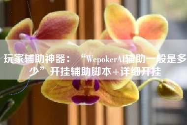 玩家辅助神器：“WepokerAI辅助一般是多少”开挂辅助脚本+详细开挂