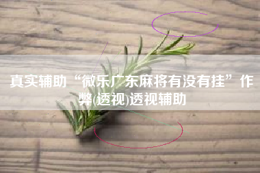真实辅助“微乐广东麻将有没有挂	”作弊(透视)透视辅助