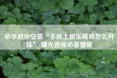 必学教你安装“手机上微乐麻将怎么开挂	”(曝光透视必备猫腻