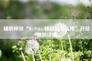 辅助神器“WePoker辅助器怎么用	”开挂辅助详细