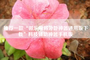 推荐一款“微乐麻将外卦神器通用版下载”科技辅助神器手机版