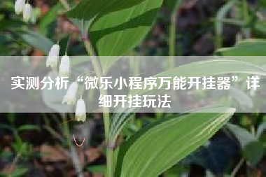 实测分析“微乐小程序万能开挂器”详细开挂玩法