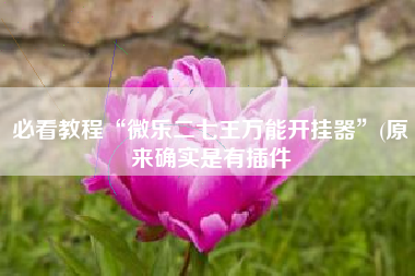 必看教程“微乐二七王万能开挂器”(原来确实是有插件