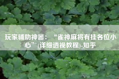 玩家辅助神器：“雀神麻将有挂各位小心”(详细透视教程)-知乎