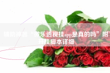 辅助神器“微乐透视挂app是真的吗”附开挂脚本详细