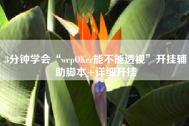 3分钟学会“wepOKer能不能透视	”开挂辅助脚本+详细开挂