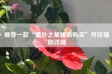 推荐一款“德扑之星辅助购买”开挂辅助详细