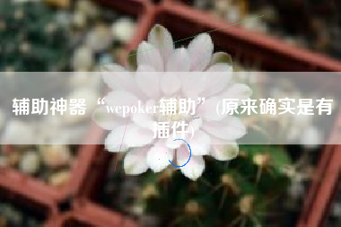 辅助神器“wepoker辅助	”(原来确实是有插件)