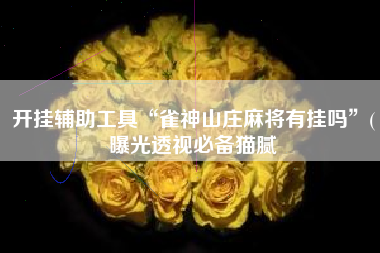 开挂辅助工具“雀神山庄麻将有挂吗”(曝光透视必备猫腻