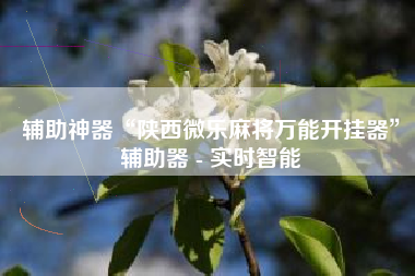 辅助神器“陕西微乐麻将万能开挂器”辅助器 - 实时智能