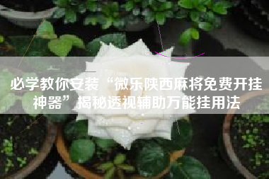 必学教你安装“微乐陕西麻将免费开挂神器”揭秘透视辅助万能挂用法