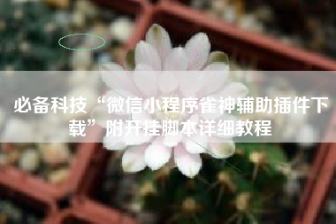 必备科技“微信小程序雀神辅助插件下载	”附开挂脚本详细教程