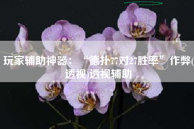 玩家辅助神器：“德扑77对27胜率”作弊(透视)透视辅助