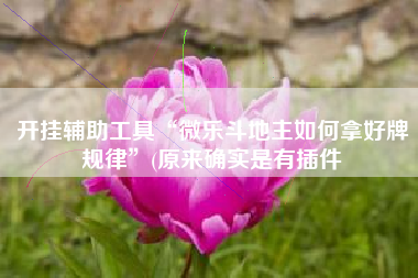 开挂辅助工具“微乐斗地主如何拿好牌规律”(原来确实是有插件