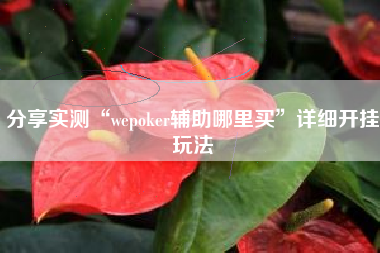 分享实测“wepoker辅助哪里买”详细开挂玩法