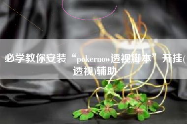 必学教你安装“pokernow透视脚本”开挂(透视)辅助