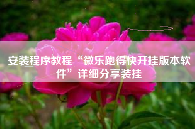 安装程序教程“微乐跑得快开挂版本软件”详细分享装挂