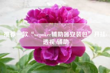 推荐一款“wepoker辅助器安装包	”开挂(透视)辅助
