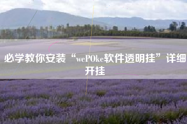 必学教你安装“wePOke软件透明挂”详细开挂