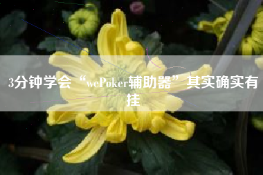 3分钟学会“wePoker辅助器	”其实确实有挂