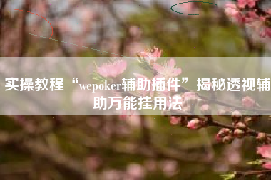 实操教程“wepoker辅助插件”揭秘透视辅助万能挂用法