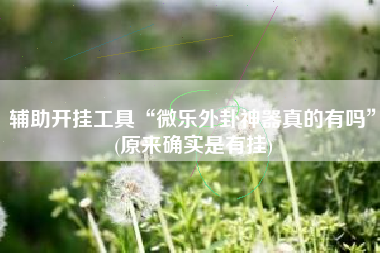 辅助开挂工具“微乐外卦神器真的有吗”(原来确实是有挂)