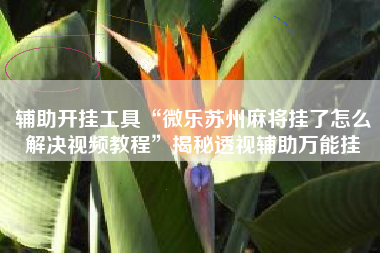 辅助开挂工具“微乐苏州麻将挂了怎么解决视频教程”揭秘透视辅助万能挂