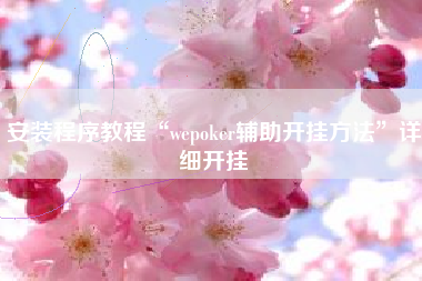 安装程序教程“wepoker辅助开挂方法”详细开挂