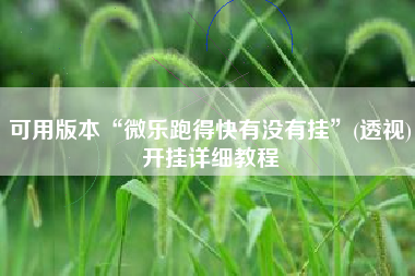 可用版本“微乐跑得快有没有挂”(透视)开挂详细教程