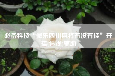 必备科技“微乐四川麻将有没有挂”开挂(透视)辅助