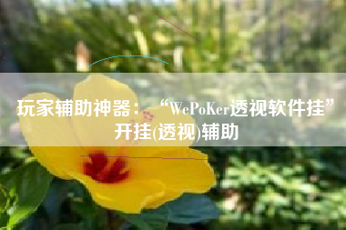 玩家辅助神器：“WePoKer透视软件挂	”开挂(透视)辅助