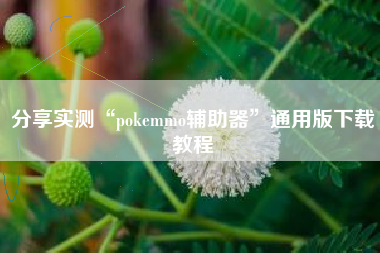 分享实测“pokemmo辅助器	”通用版下载教程