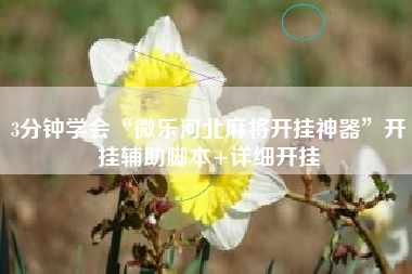 3分钟学会“微乐河北麻将开挂神器”开挂辅助脚本+详细开挂