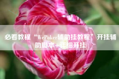 必看教程“WePoker辅助挂教程”开挂辅助脚本+详细开挂
