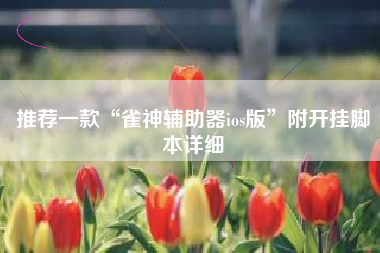 推荐一款“雀神辅助器ios版”附开挂脚本详细