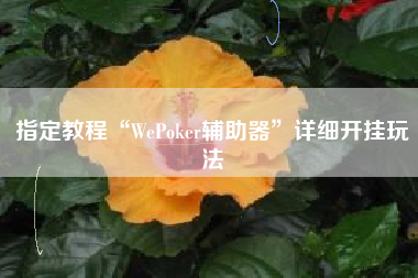 指定教程“WePoker辅助器	”详细开挂玩法