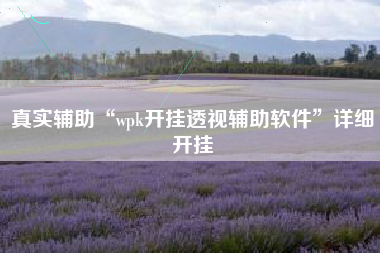 真实辅助“wpk开挂透视辅助软件”详细开挂