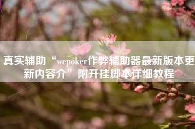 真实辅助“wepoker作弊辅助器最新版本更新内容介”附开挂脚本详细教程