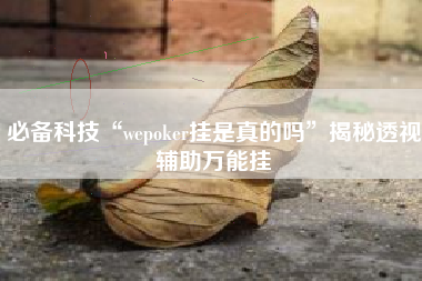 必备科技“wepoker挂是真的吗	”揭秘透视辅助万能挂