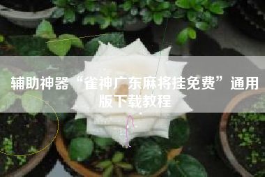 辅助神器“雀神广东麻将挂免费”通用版下载教程