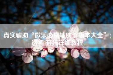 真实辅助“微乐必赢辅助器版本大全”(透视)开挂详细教程