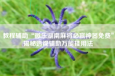 教程辅助“微乐湖南麻将必赢神器免费	”揭秘透视辅助万能挂用法