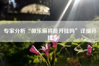 专家分析“微乐麻将能开挂吗	”详细开挂