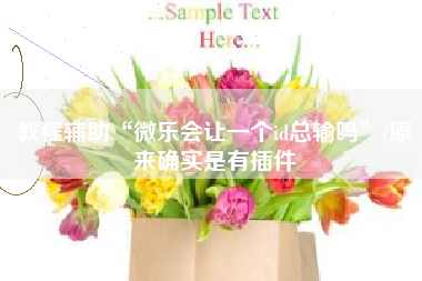 教程辅助“微乐会让一个id总输吗”(原来确实是有插件