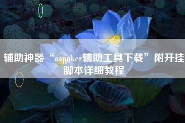 辅助神器“aapoker辅助工具下载	”附开挂脚本详细教程